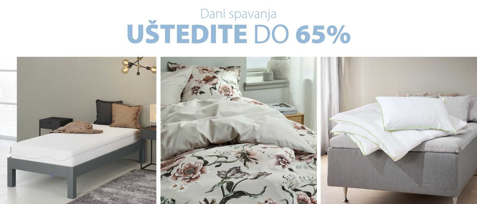 DANI SPAVANJA